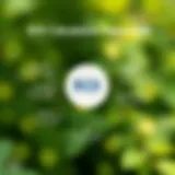 Visual representation of ROI calculation framework