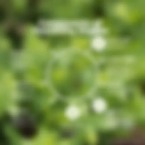 Visual representation of feasibility study components