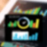 Credit score analytics with graphs and charts