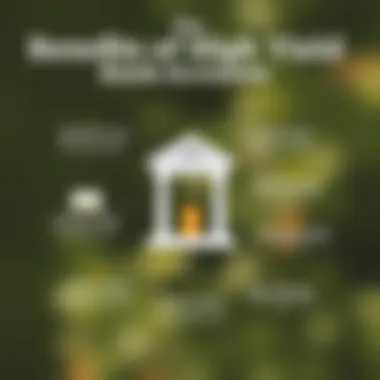 Benefits of High Yield Bank Accounts An infographic showcasing the benefits of high yield bank accounts