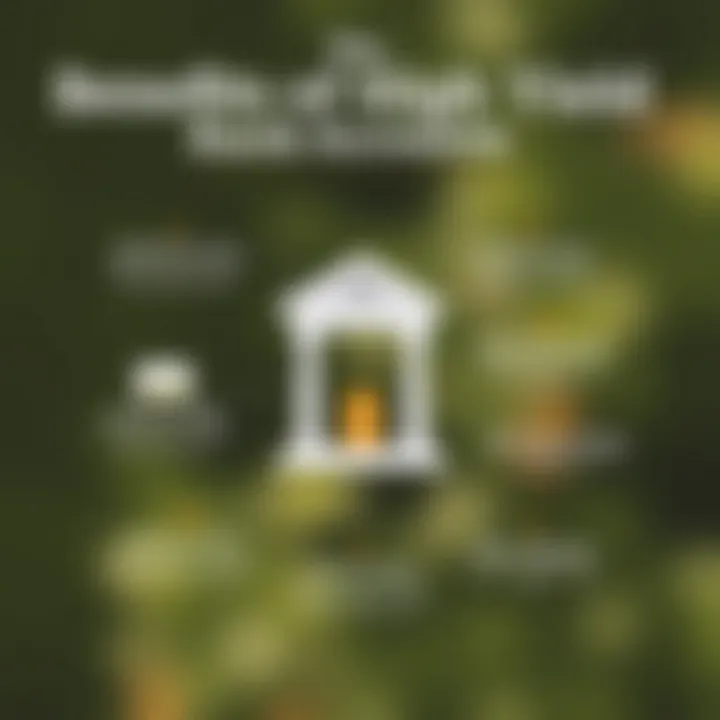 Benefits of High Yield Bank Accounts An infographic showcasing the benefits of high yield bank accounts