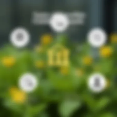 Types of Securities Custody Accounts Infographic illustrating various types of custody accounts and their features