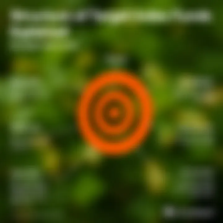 Infographic illustrating the structure of target index funds