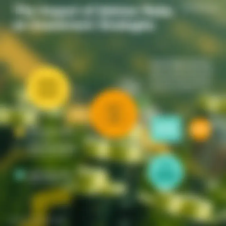 Investment strategies shaped by advisor roles