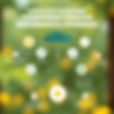 Conceptual representation of comprehensive insurance coverage