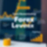 The concept of leverage in forex trading