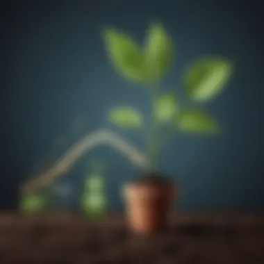 Effectiveness of Organic Growth Graph depicting the effectiveness of organic growth over time