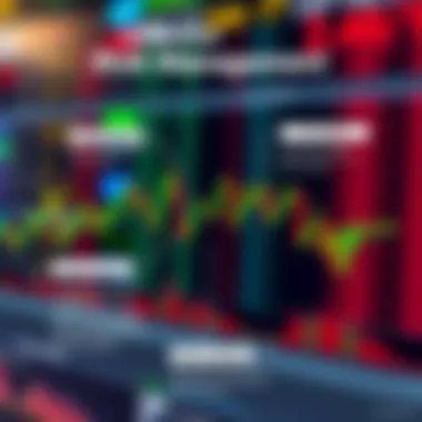 Visual of risk management strategies