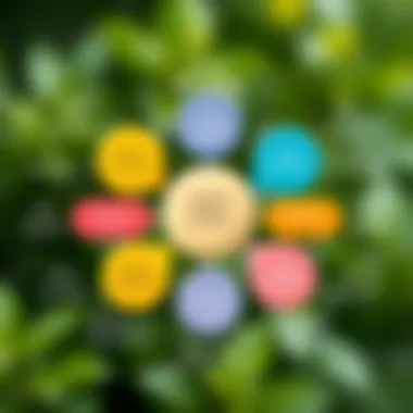 Visual representation of asset classes