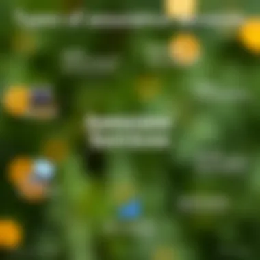 Diverse types of assurance services depicted visually