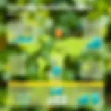 Exploring Market Dynamics of Carbon Trading Visual representation of carbon trading market dynamics