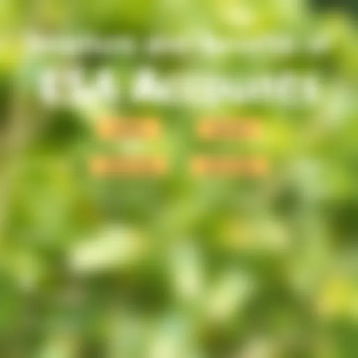 Detailed structure of ESA savings accounts showing benefits and limitations