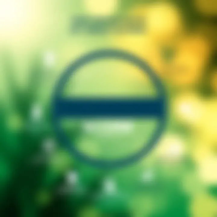 Diagram showcasing credit score impacts