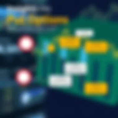 Insights into Put Options Visual representation of put option strategies