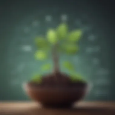 Organic Growth Strategies Illustration of organic growth strategies in business
