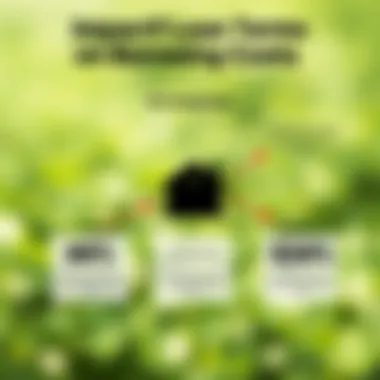 Visual representation of loan terms and their impact on overall borrowing costs