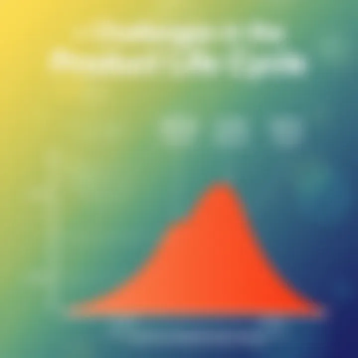 Graph depicting challenges faced at different product life cycle stages